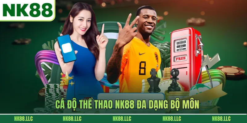 Cá độ thể thao NK88 đa dạng bộ môn