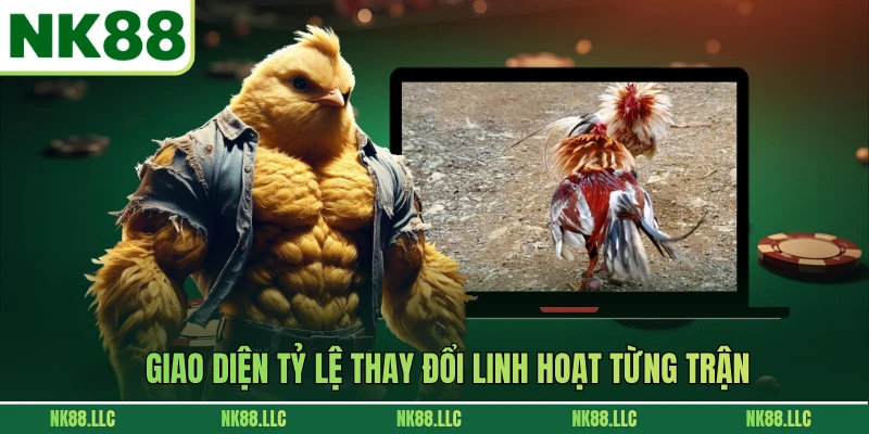 Giao diện tỷ lệ thay đổi linh hoạt từng trận