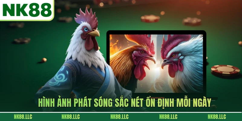 Hình ảnh phát sóng sắc nét ổn định mỗi ngày