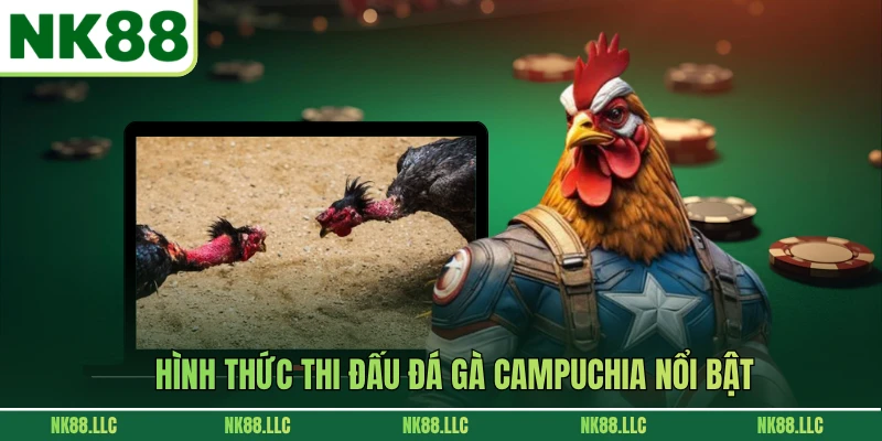 Hình thức thi đấu đá gà Campuchia nổi bật