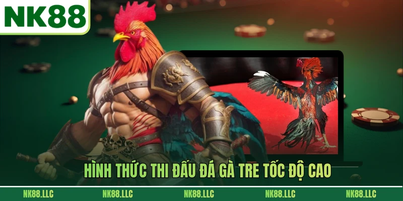 Hình thức thi đấu đá gà tre tốc độ cao
