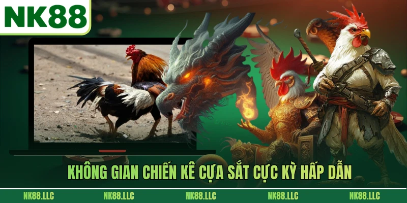Không gian chiến kê cựa sắt cực kỳ hấp dẫn