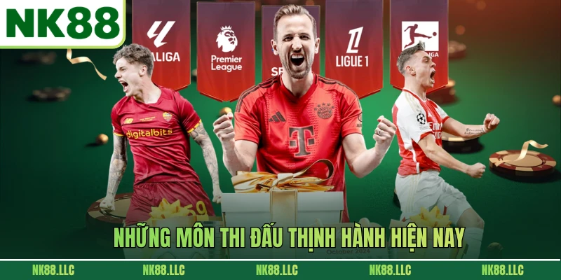 Những môn thi đấu thịnh hành hiện nay