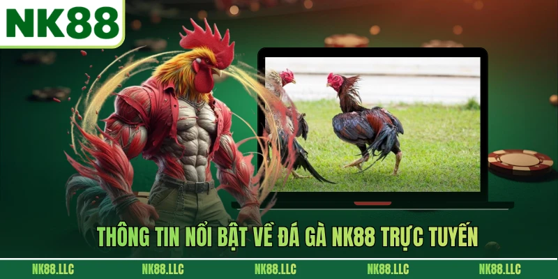 Thông tin nổi bật về đá gà NK88 trực tuyến