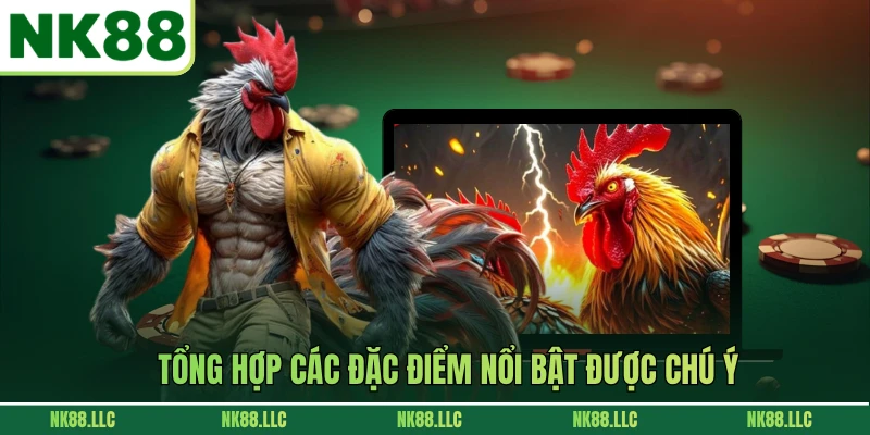 Tổng hợp các đặc điểm nổi bật được chú ý