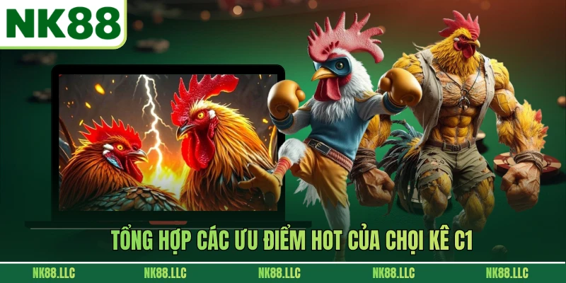 Tổng hợp các ưu điểm hot của chọi kê C1